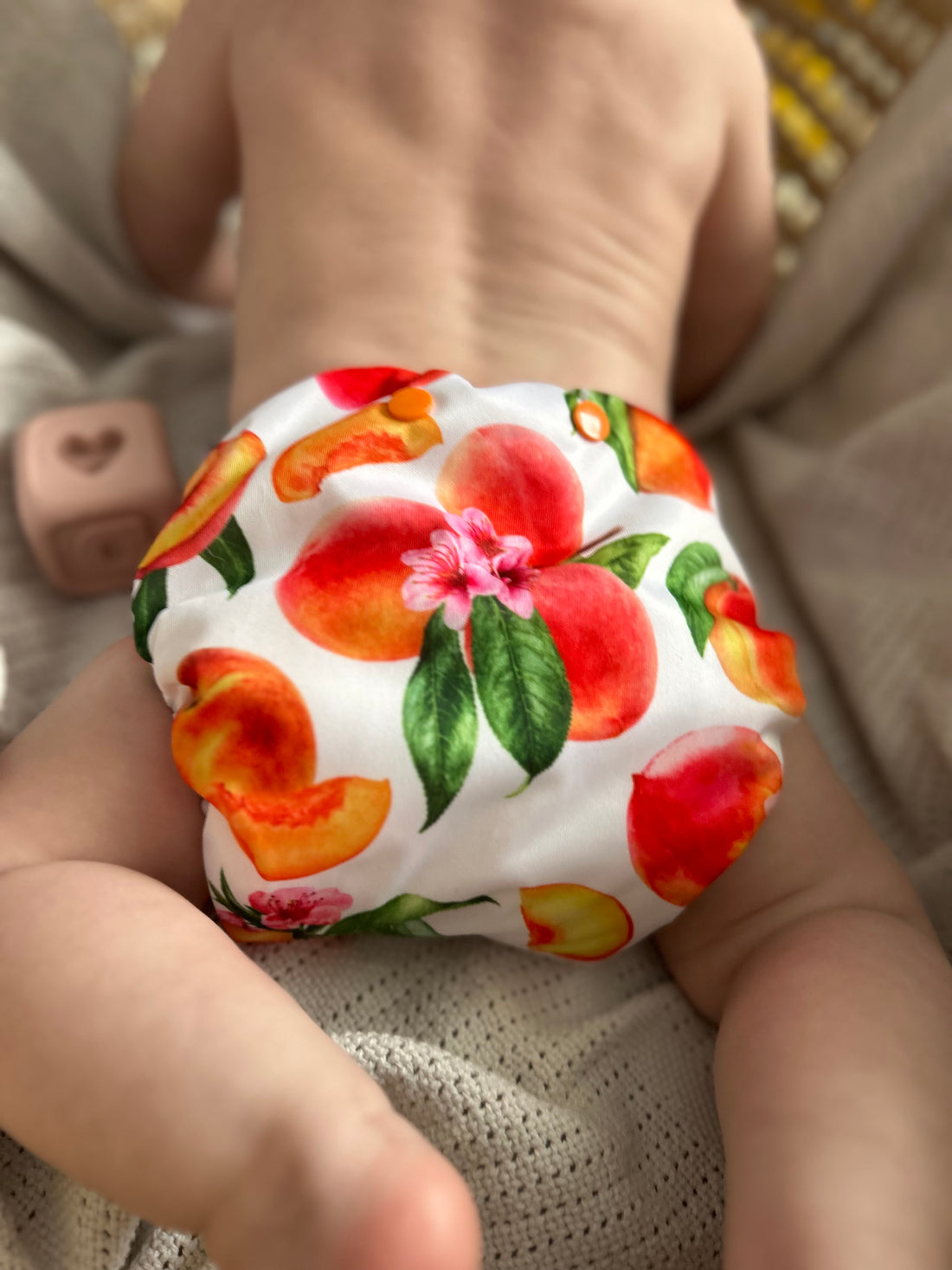 Couche Tout-En-Un | Collection été
