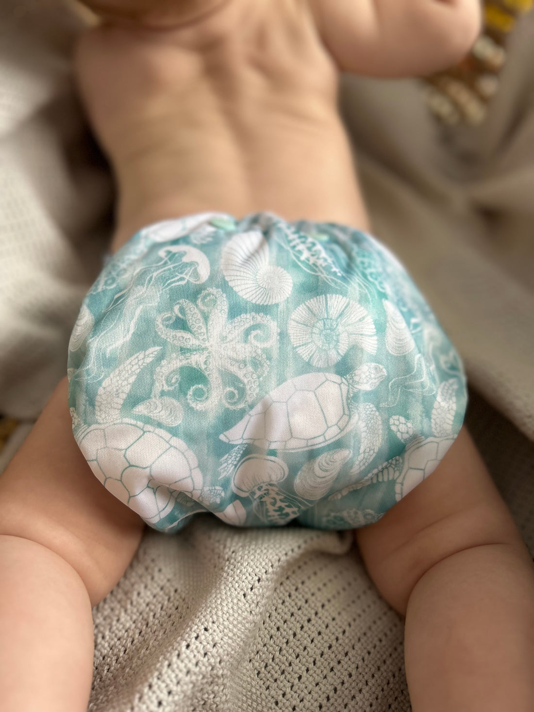 Couche Tout-En-Un | Collection été