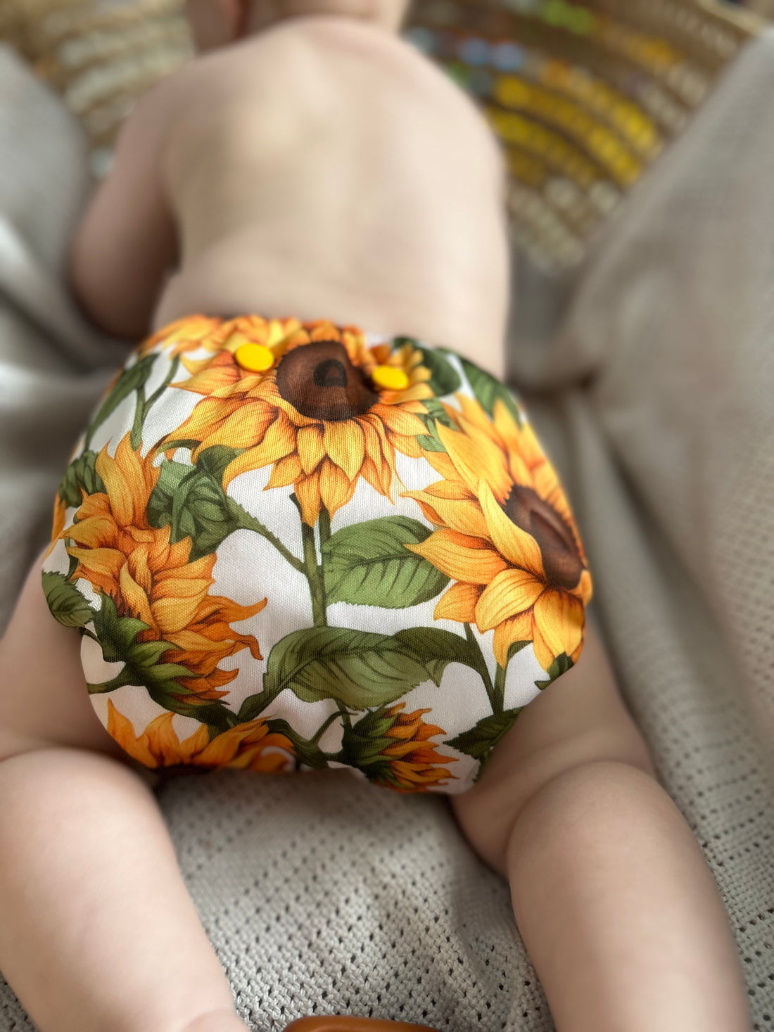 Couche Tout-En-Un | Collection été